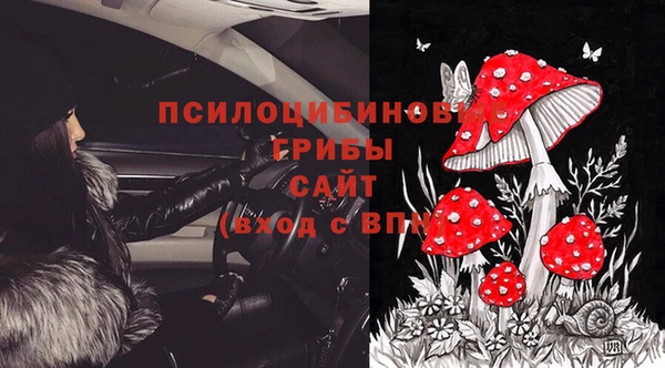 мяу мяу мука Иннополис